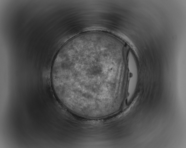 X0000092000937200710041005