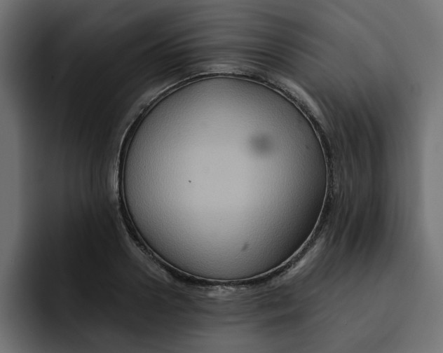 X0000092000938200710041005