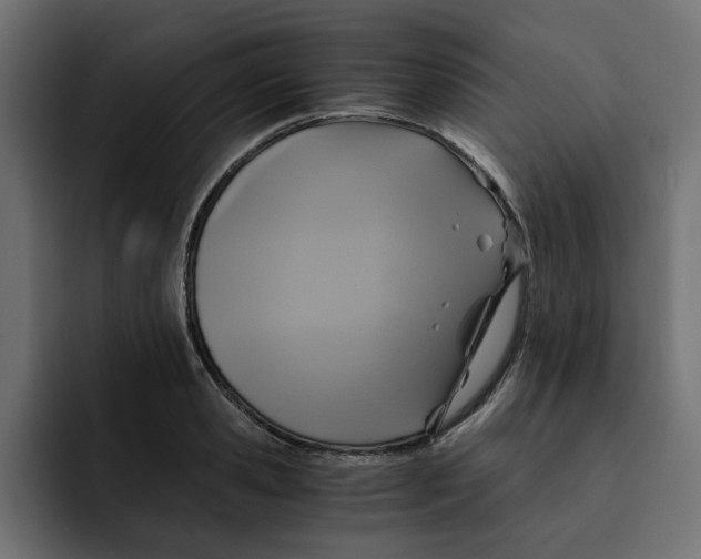 X0000092000941200710041005