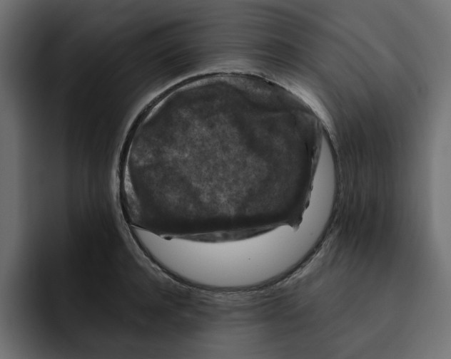 X0000092000944200710041005