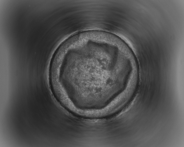 X0000092000949200710041005