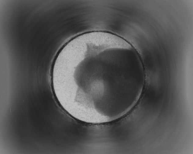 X0000092000950200710041005