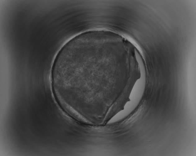 X0000092000951200710041005