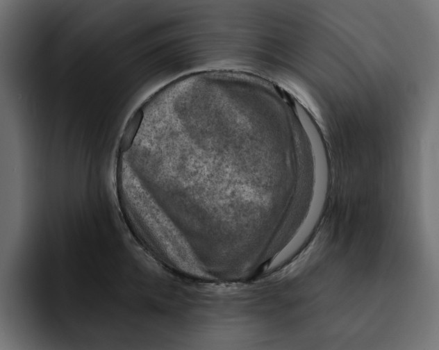 X0000092000952200710041005