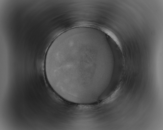 X0000092000954200710041005