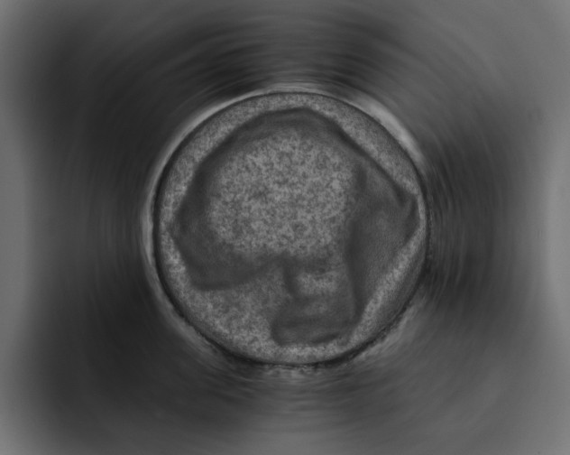 X0000092000955200710041005