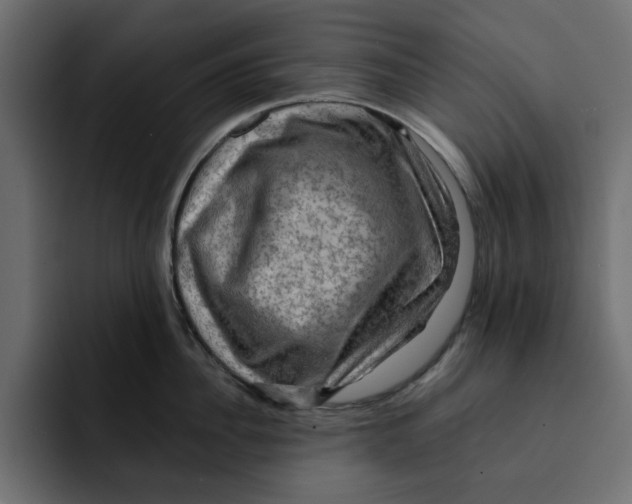 X0000092000956200710041005