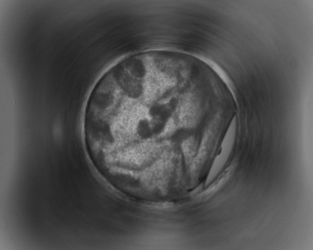 X0000092000957200710041005