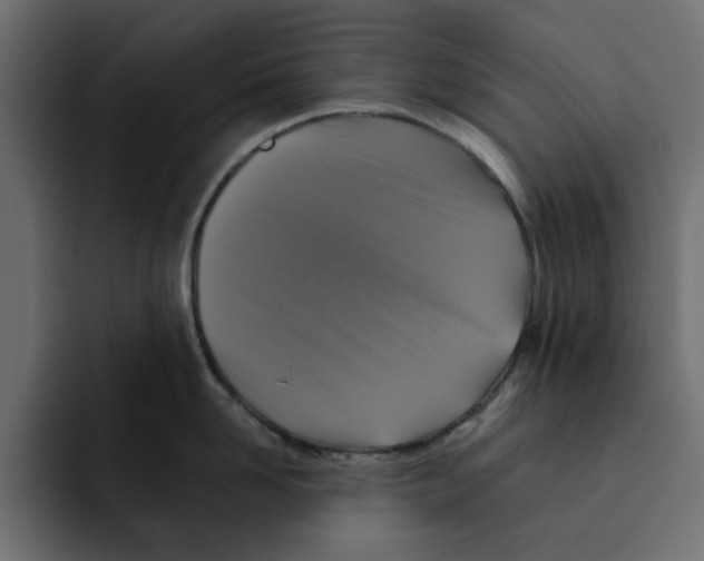 X0000092000958200710041005