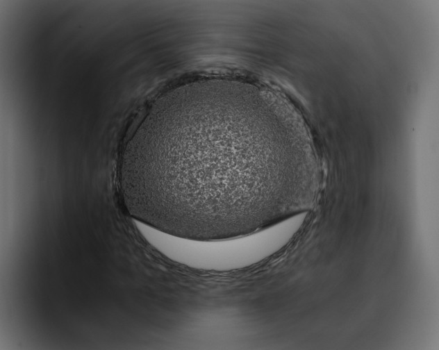 X0000092000965200710041005