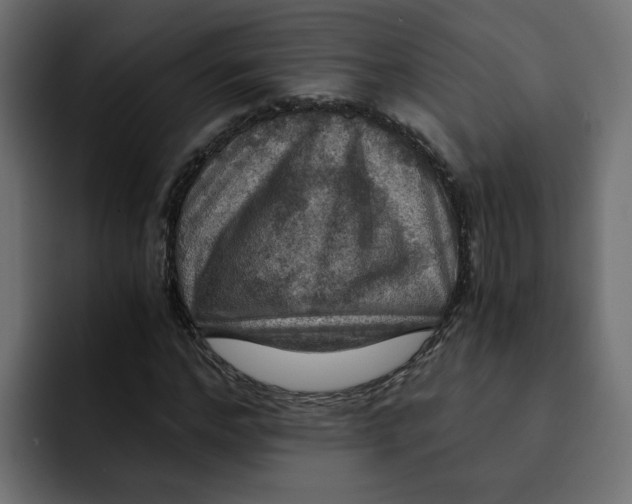 X0000092000968200710041004