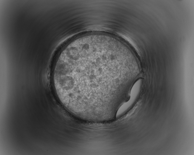 X0000092000971200710041004