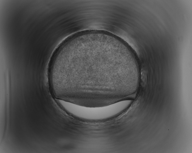 X0000092000972200710041004