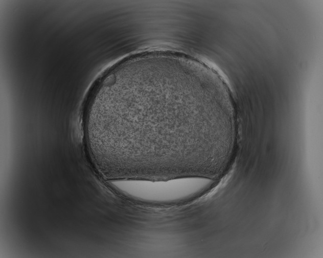 X0000092000973200710041004