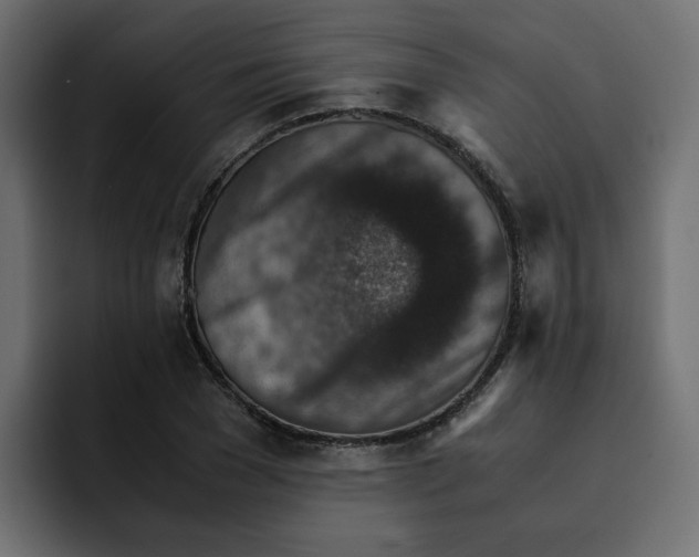 X0000092000977200710041004