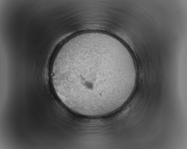 X0000092000979200710041004