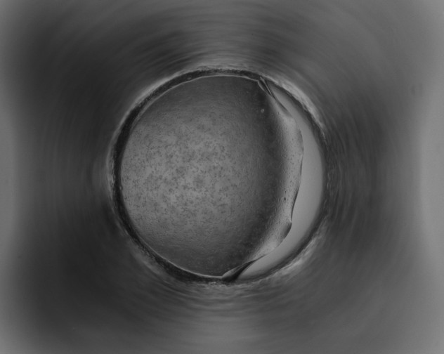 X0000092000981200710041004