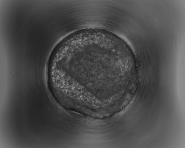 X0000092000983200710041004