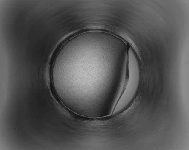 X0000092000984200710041004