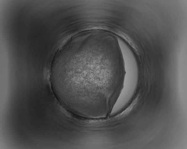 X0000092000985200710041004