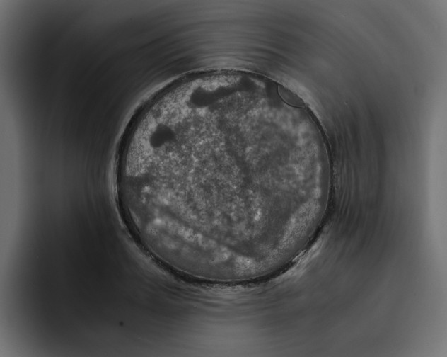 X0000092000987200710041004