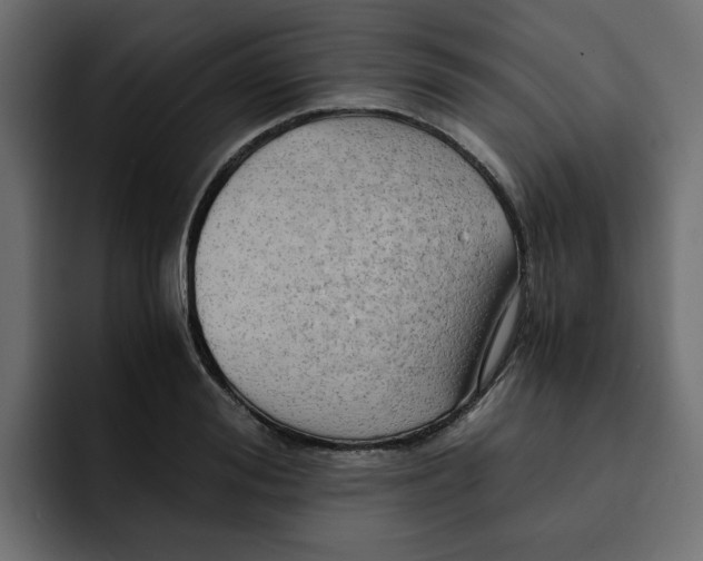 X0000092000988200710041004