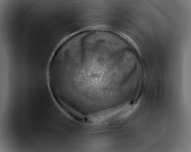 X0000092000989200710041004