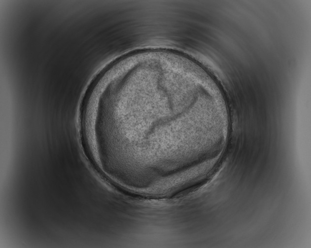 X0000092000990200710041004