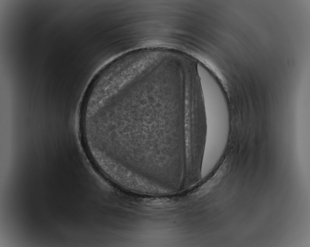 X0000092000991200710041004