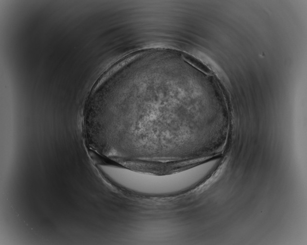 X0000092000993200710041004