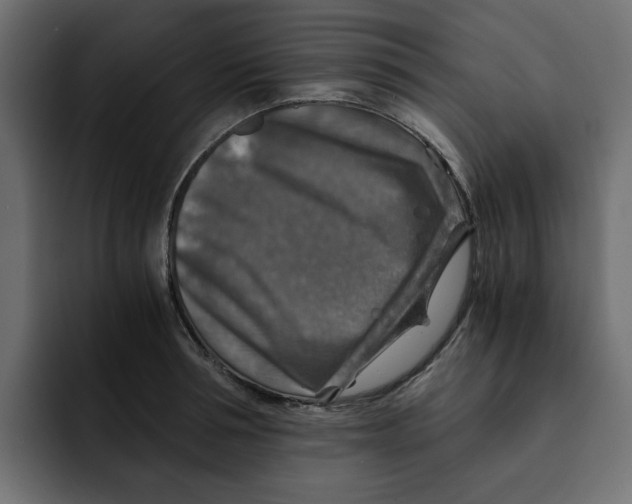 X0000092000994200710041004