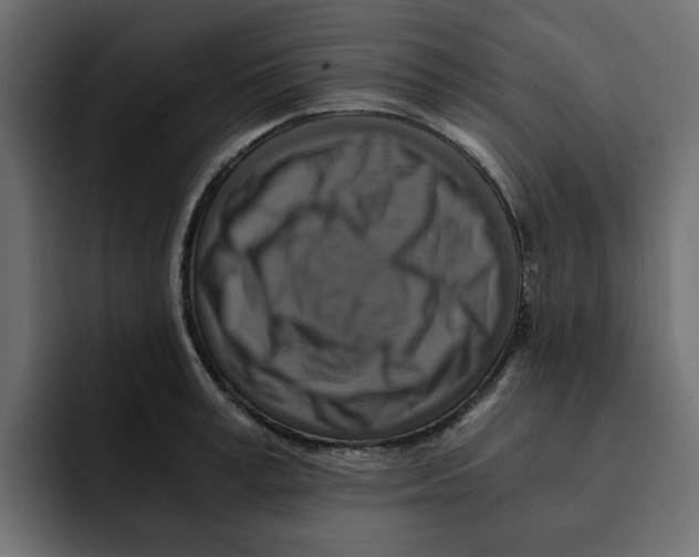 X0000092000995200710041004