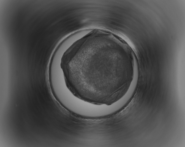 X0000092000996200710041004