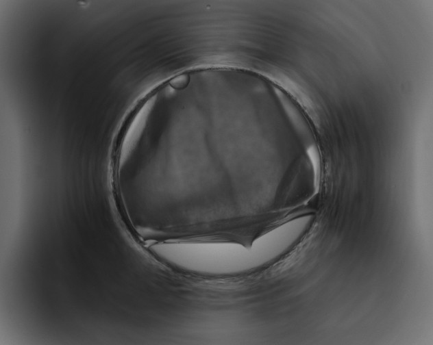 X0000092000998200710041004