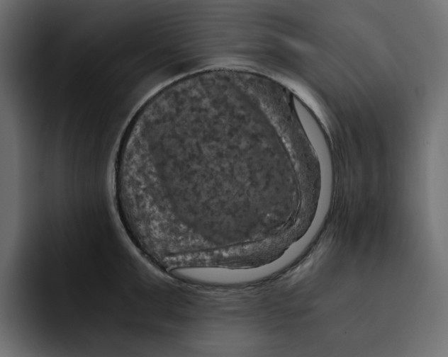 X0000092000999200710041004