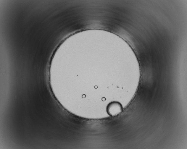 X0000092001000200710041004