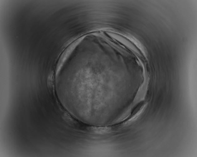 X0000092001001200710041004