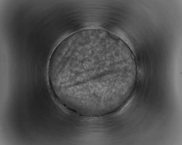 X0000092001002200710041004