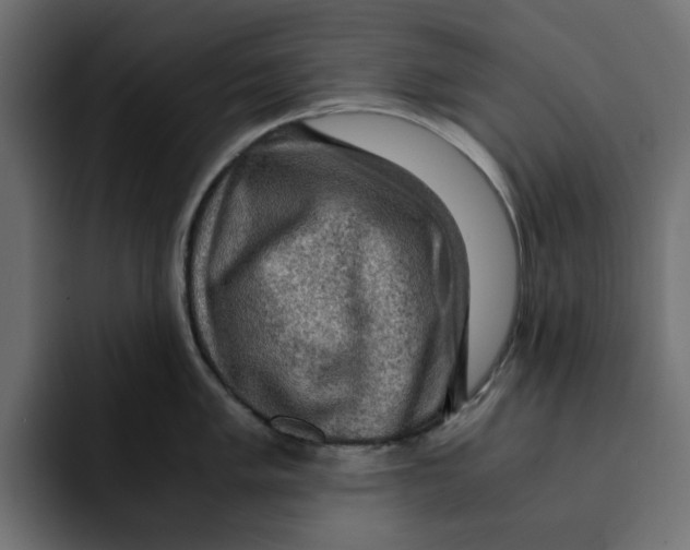 X0000092001005200710041004