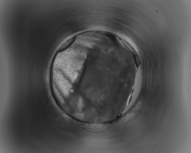 X0000092001007200710041004