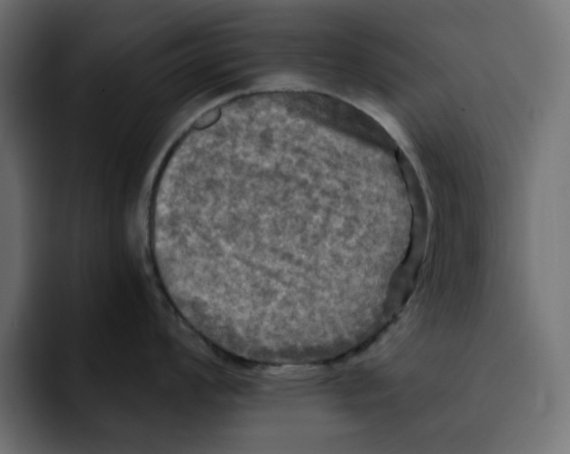 X0000092001008200710041004