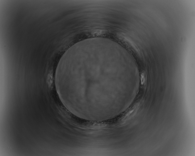 X0000092001011200710041003