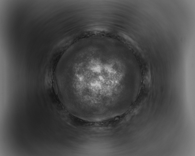 X0000092001014200710041004