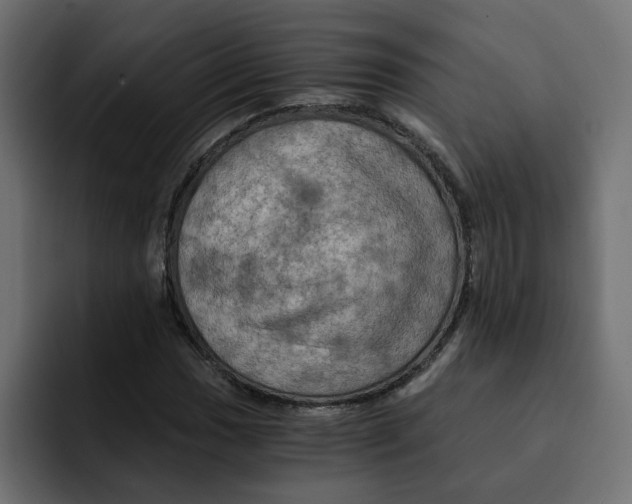 X0000092001017200710041004