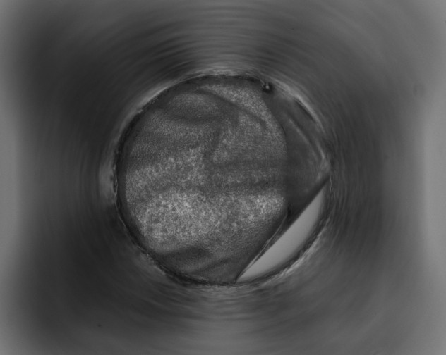 X0000092001018200710041004