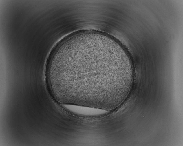 X0000092001020200710041004