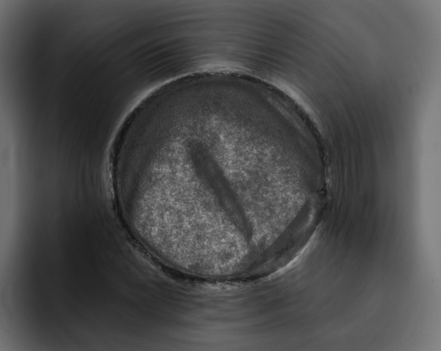 X0000092001022200710041004