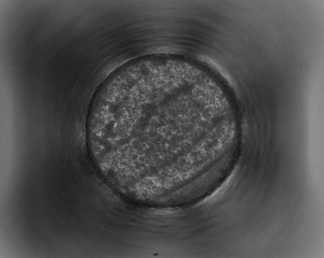 X0000092001025200710041004