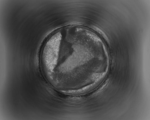 X0000092001027200710041004