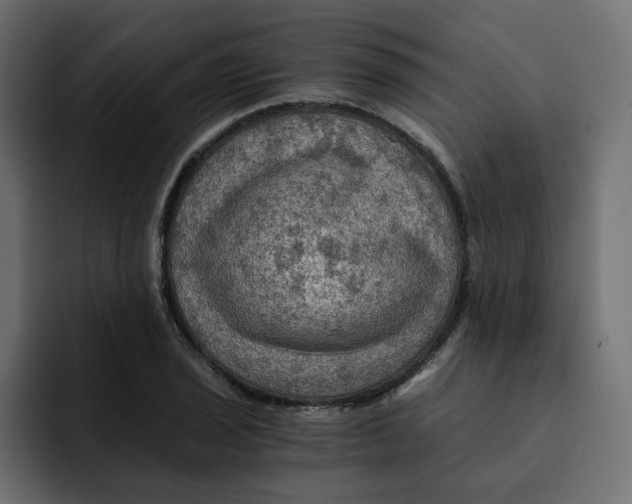 X0000092001029200710041004